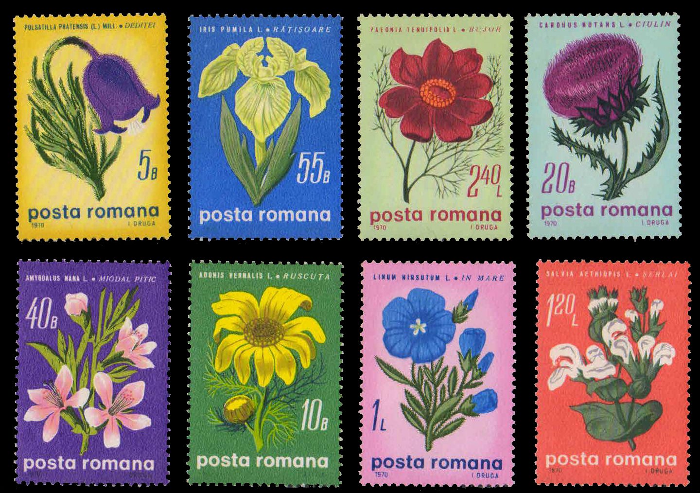 ROMANIA 1970-Flowers, Set of 8, MNH, S.G. 3700-07