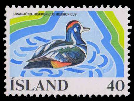 ICELAND 1977-Harlequin Duck, European Wetlands Campaign, Bird, 1 Value, MNH, S.G. 555