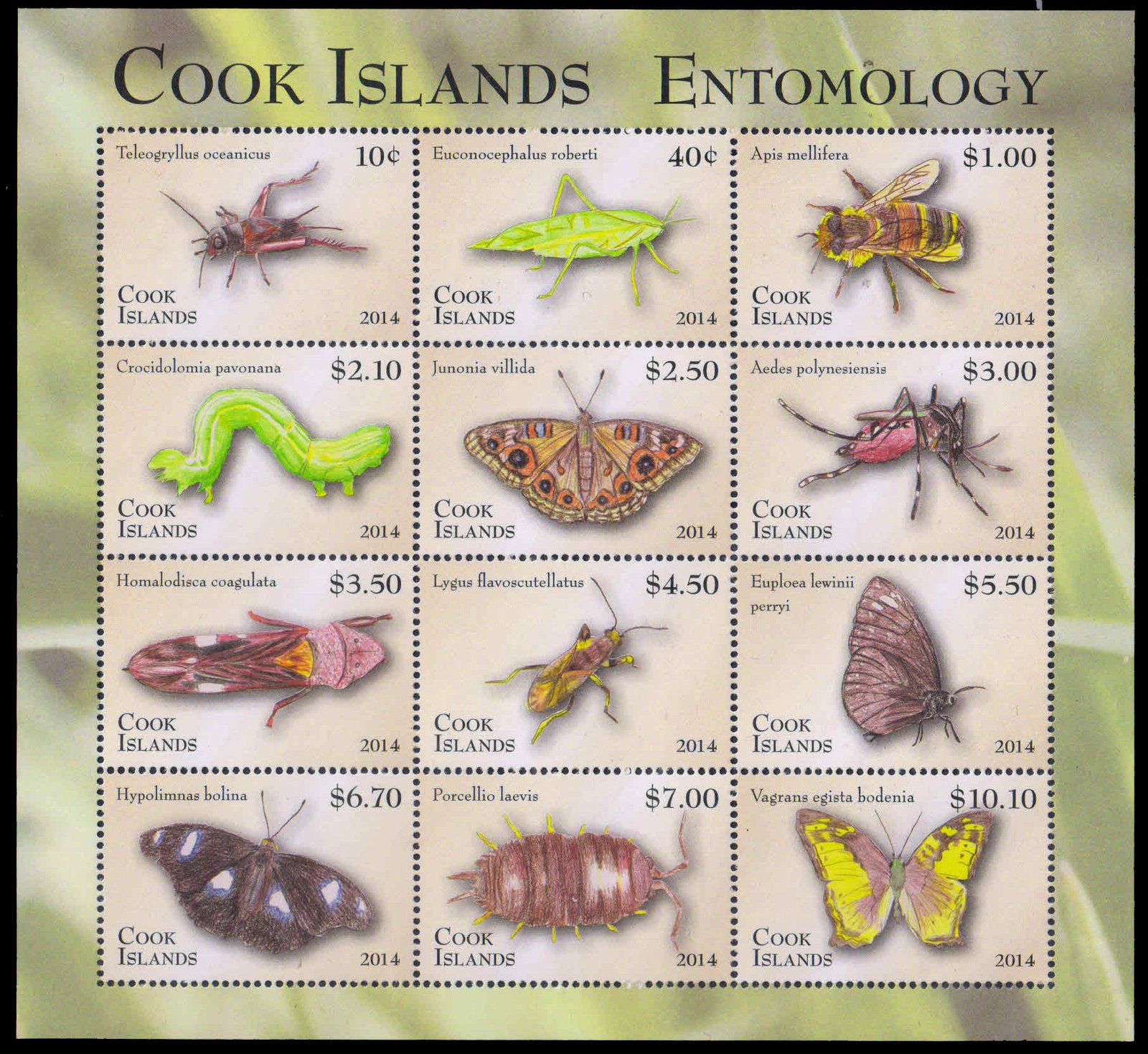 COOK ISLANDS 2013-Insects, Apis-Butterflies-Entomology, Miniature Sheet of 12 Stamps, MNH, S.G. MS 1738-Cat £ 42-