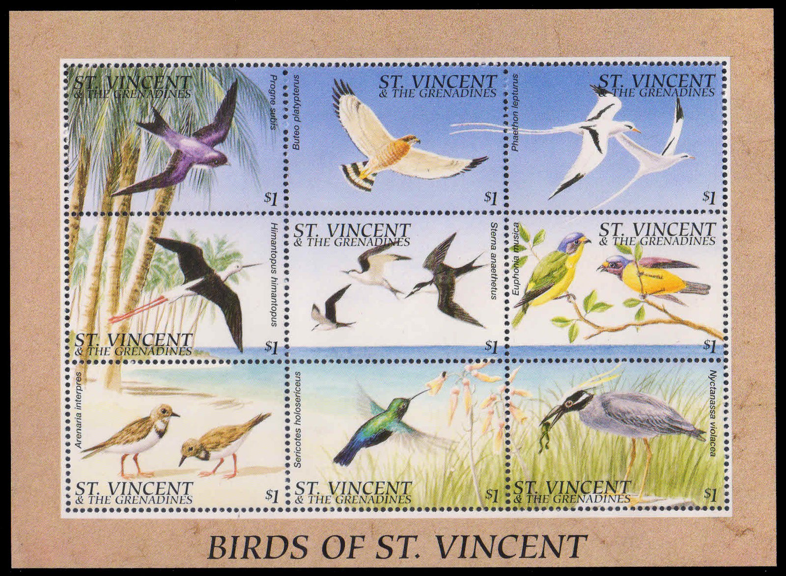 St. Vincent 1996-Birds, Sheet of 9 Stamps