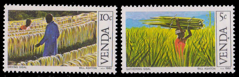 VENDA 1982 - Sisal Cultivation, Agriculture, 2 Different Stamps, MNH, S.G. 55 & 56