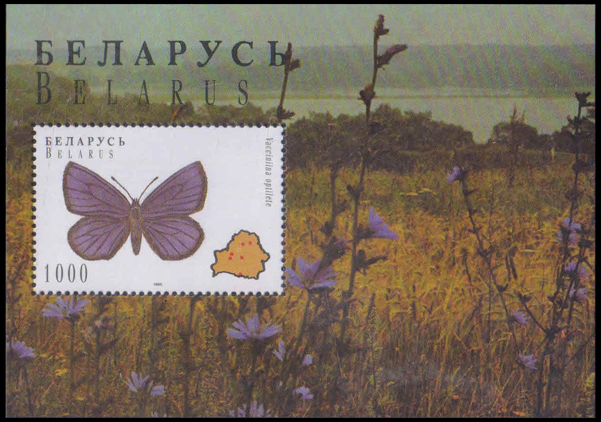 BELARUS 1996-Butterfly-Vacciniina Optilete, M/S, MNH, S.G. MS 152 (a)