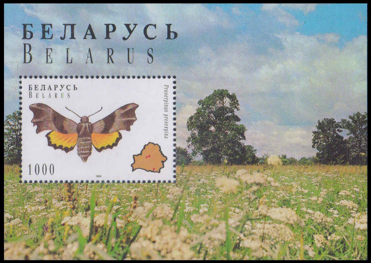BELARUS 1996-Butterflies & Moth-Miniature Sheet, MNH, S.G. MS 5152 (b)
