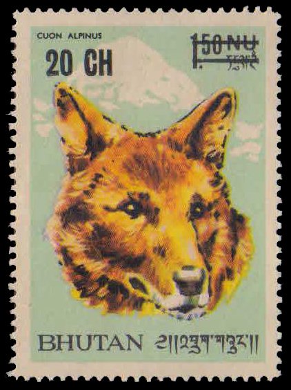 BHUTAN 1970-Dog, Dhole-Animal, Surcharged Issue 20 Ch on 1.50 Nu-1 Value, Mint Gum Wash, S.G. 224-Cat £ 4.75