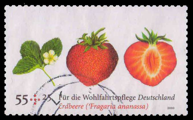 GERMANY 2010-Fruit Strawberry-Welfare Stamp-1 Value, Used, S.G. 3634-Cat � 4.75