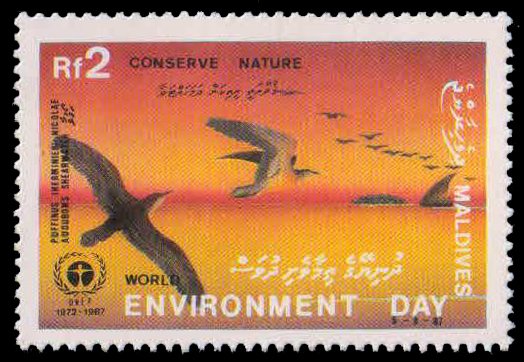 MALDIVE ISLAND 1988-Birds-Audubons Shearwaters in Flight, 1 Value, MNH, Environment, S.G. 1276