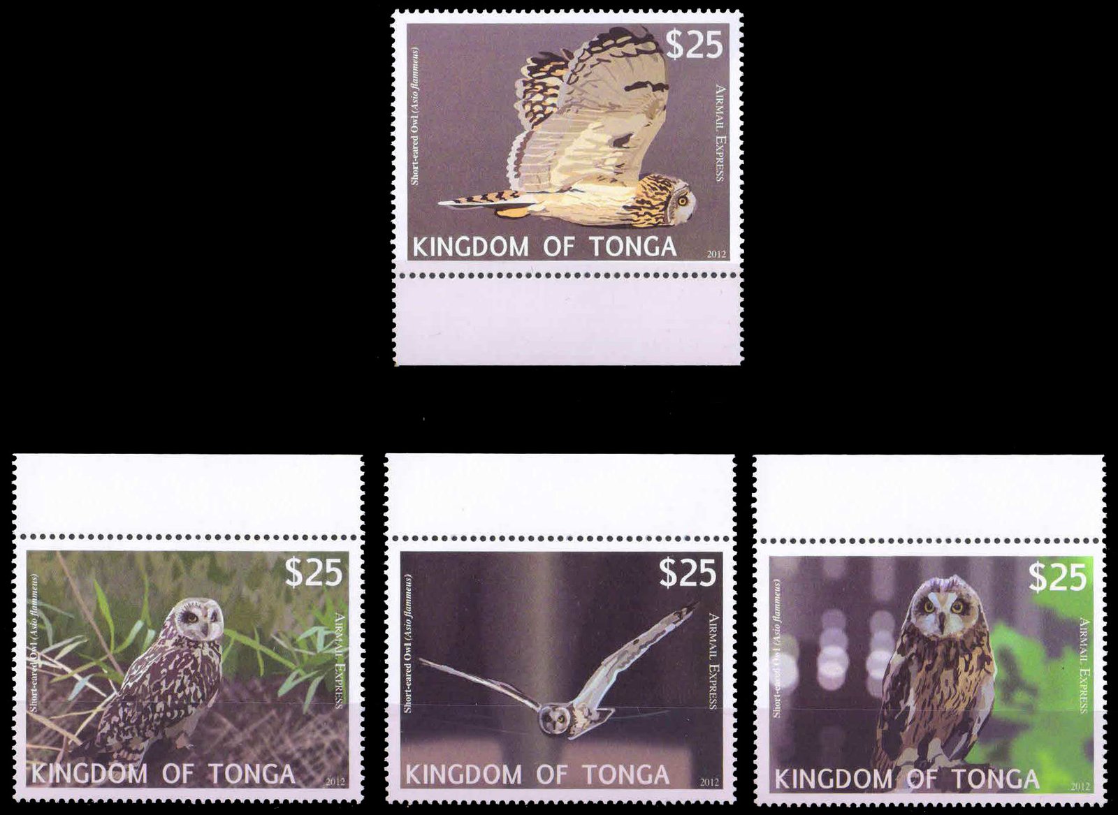 TONGA 2012-Express Airmail Stamp-Short eared Owl-Set of 4, MNH, S.G. E2-E5, Cat £ 88-