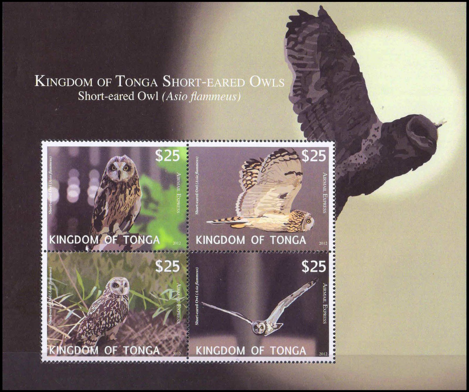 TONGA 2012-Express Airmail Stamp-Short eared Owl-Miniature Sheet, MNH, S.G. MS E6-Cat � 80-