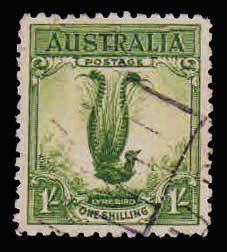 AUSTRALIA 1932 - Superb Lyre Bird. 1 Value. Used. S.G. 140 Cat £ 3