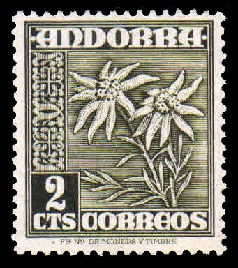 ANDORRA (Spanish) 1948 - Flower Edelweiss. 1 Value Old Stamp. MNH. S.G. 41