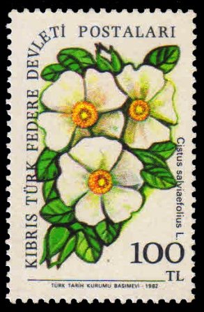TURKISH CYPRIOT POSTS 1981 - Flowers. 1 Value MNH. S.G. 115
