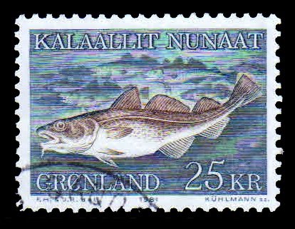 GREENLAND 1981 - Atlantic Cod Fishes. Marine Life. 1 Value Used. S.G. 130. Cat � 7.75