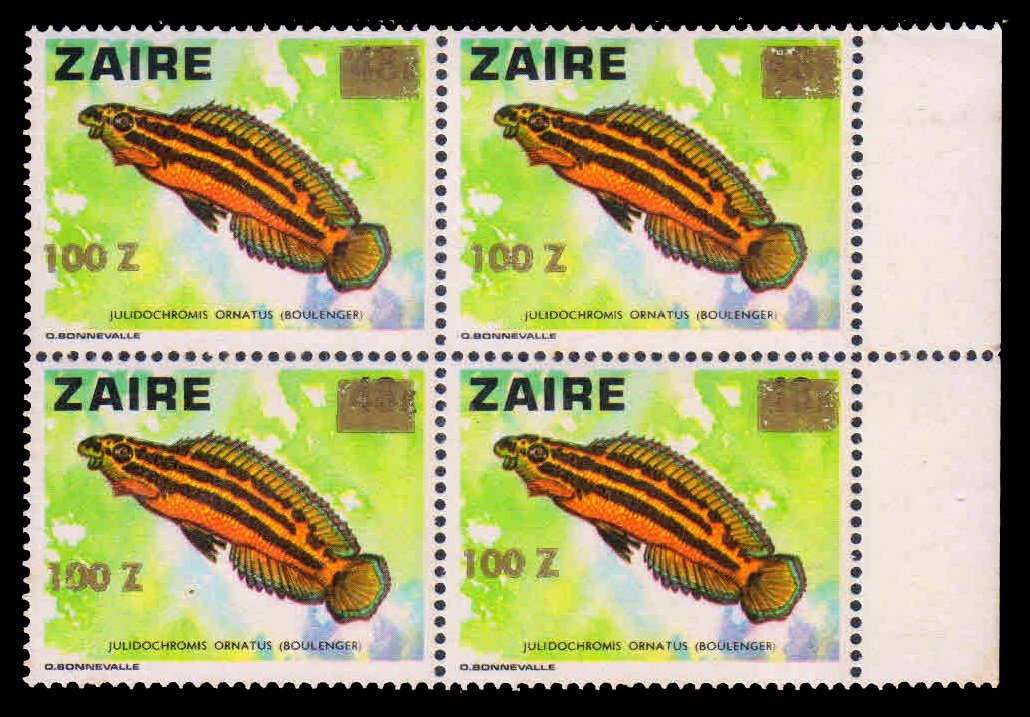 ZAIRE 1978 - Fish, Golden Julie. Block of 4. MNH. S.G. 1335