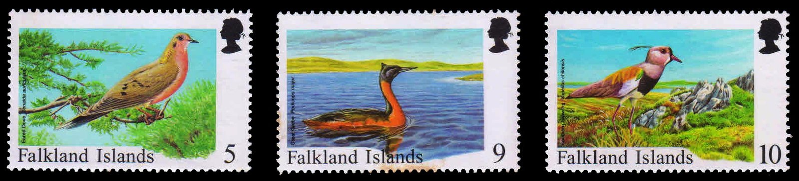 FALKLAND ISLANDS 1998 - Rare Visiting Birds. 3 Different, MNH. S.G. 806-808. Cat � 6