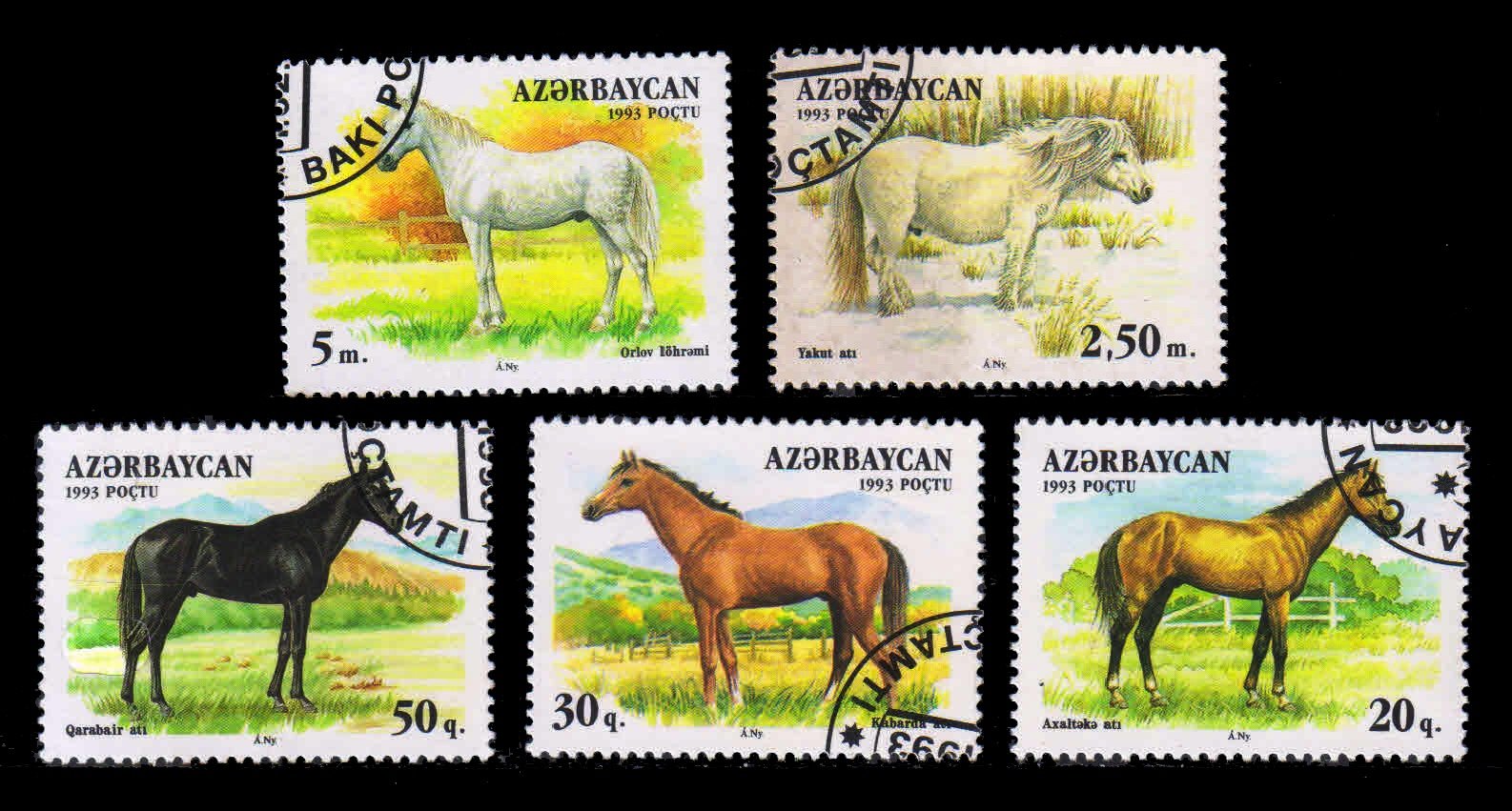 AZERBAIJAN 1993 - Horse. Set of 5, Used Stamps