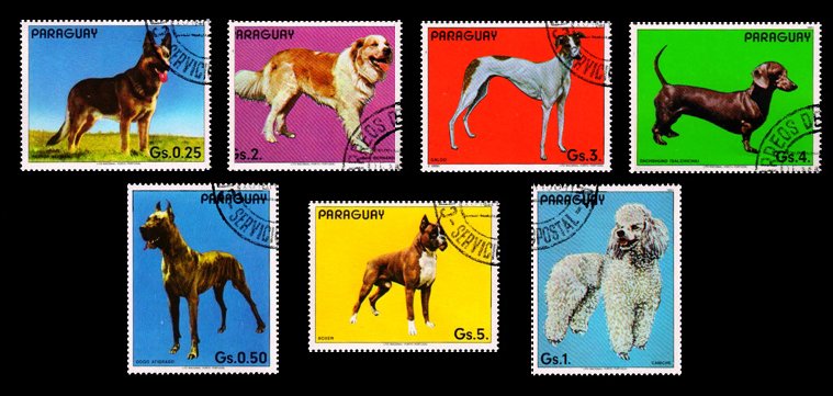 PARAGUAY 1983 - Dogs, Set of 7 Used Stamps