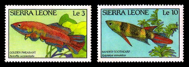 SIERRA LEONE 1988 - Fish of Sierra Leone, 2 Different Stamps, MNH, S.G. 1126-1127
