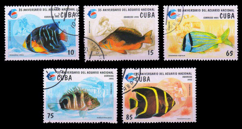 CUBA 1995 - National Aquarium, Queen Angelfish, Marine Life, Set of 5 Used, S.G. 3956-3960, Cat. Value £ 3.50
