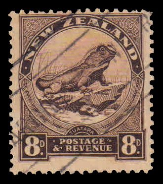 NEW ZEALAND 1941 - Tuatara Lizard, 8d, Chocolate, Perf 12½, 1 Value, Used, S.G. 586c