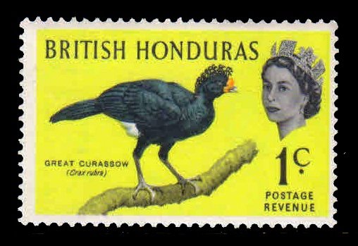 BRITISH HONDURAS 1962 - Bird, 1 Value, MNH, S.G. 239