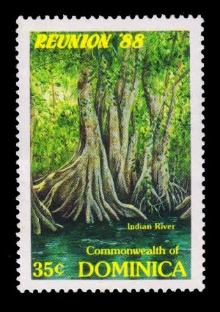 DOMINICA 1988 - Indian River, Tourism, Tree, 1 Value, MNH