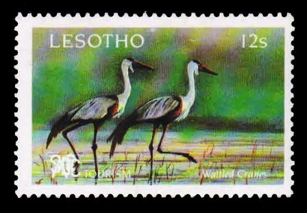 LESOTHO 1991 - Tourism, Watt led Cranes, 1 Value MNH, S.G. 1032