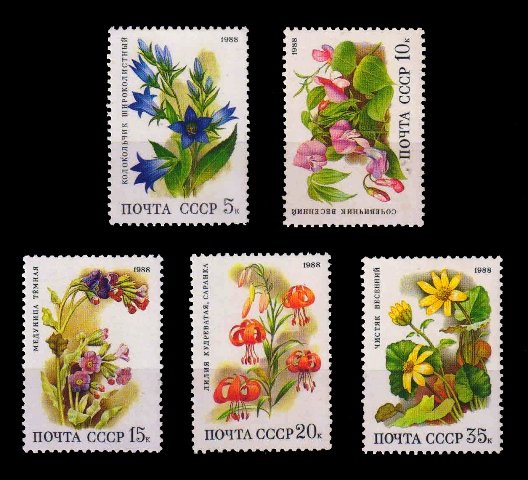 RUSSIA 1988 - Deciduous Forest Flowers, Plants, Set of 5, MNH, S.G. 5891-5895, Cat. £ 4.00