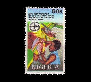 NIGERIA 1992 - Institute of Tropical Agriculture, Fruit, 1 Value Stamp, MNH, S.G. 633