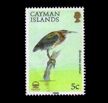 CAYMAN ISLANDS 1988 - Herons Bird, 1 Value Stamp, MNH, S.G. 667