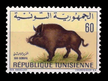 TUNISIA 1968 - Fauna, Wild Boar, 1 Value Stamp, MNH, S.G. 685, Cat. £ 2.50