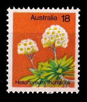 AUSTRALIA 1975 - Wild Flower, 1 Value Stamp, MNH, S.G. 608