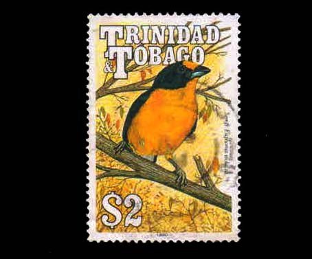 TRINIDAD AND TOBAGO - 1990 - Bird, Violaceous Euphonia, 1 Value Used Stamp, S.G. 841