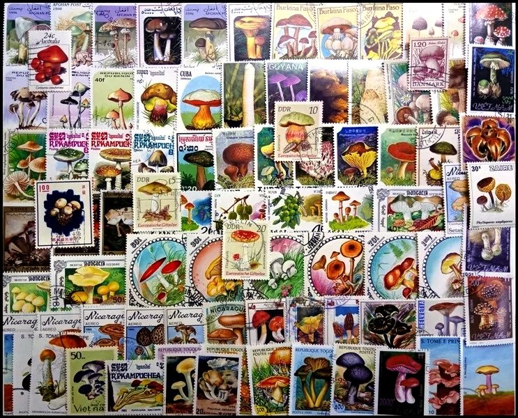 Mushrooms - 240 Different, Large Stamps