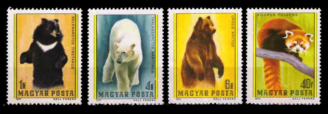 HUNGARY 1977 - Bears, Polar Bear, Animals, Set of 4 Stamps, Mint G/W, S.G. 3155-3159