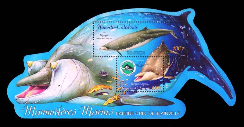 NEW CALEDONIA 2004 - Blainville Beaked Whale, Odd Shaped, Miniature Sheet of 2 Stamps, MNH, S.G. MS 1314, Cat. £ 8.50