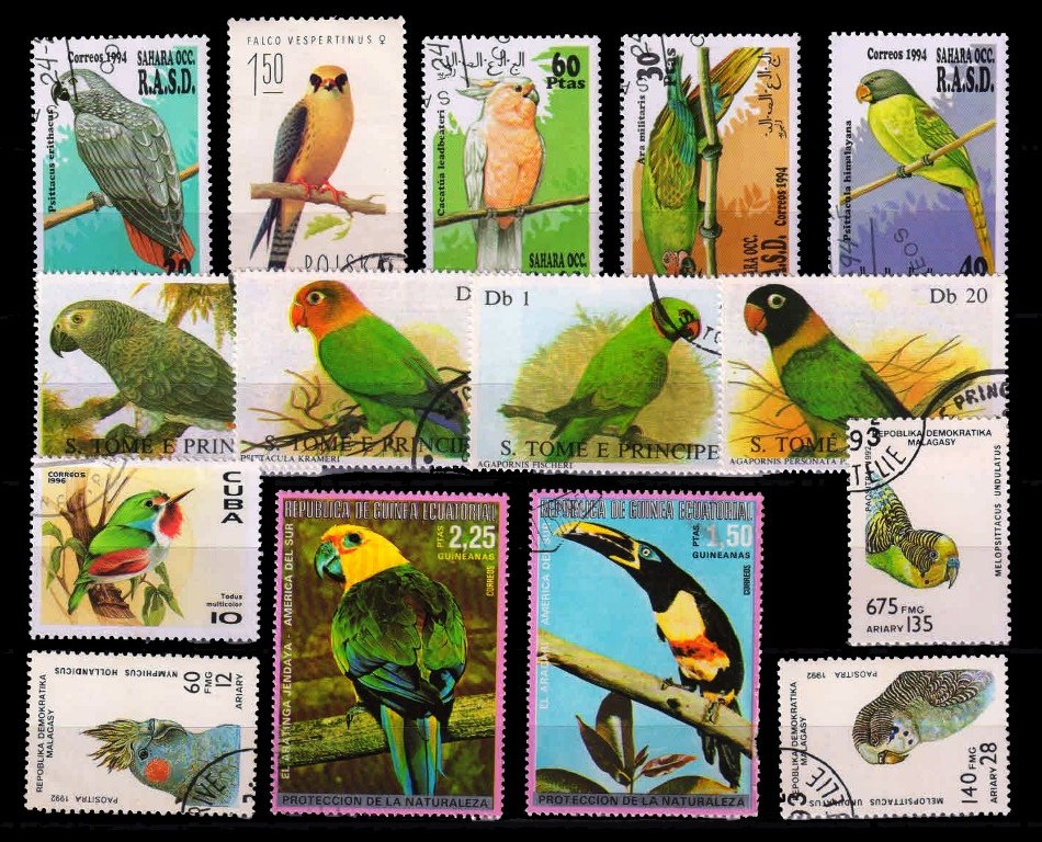 PARROTS - 15 Different, Large Stamps
