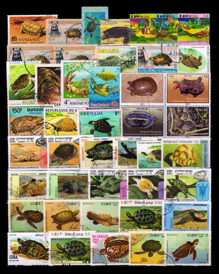 TORTOISE-TURTLES - 44 Different, Large Stamps