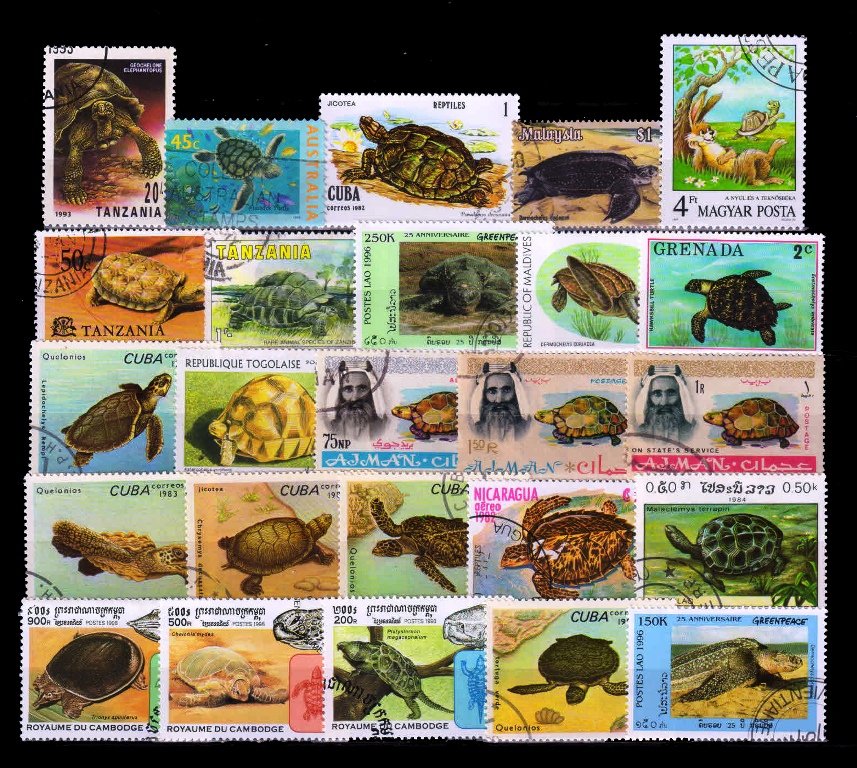 TORTOISE-TURTLES - 25 Different, Large Stamps
