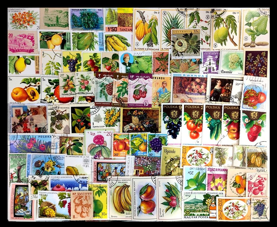 FRUITS - 120 Different Stamps