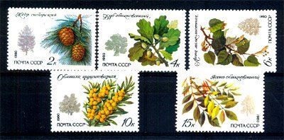 RUSSIA 1980, Trees,Fruit, Flora, S.G.No 5044 - 5048, Comp Set of 5