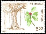 INDIA -19-11-1987, Indian Trees-Banyan Rs. 6-50. S.G. 1274, Phila 1107