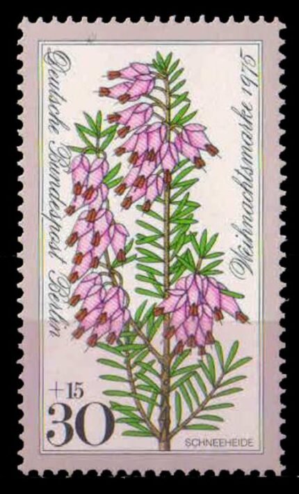 BERLIN 1975-Alpine Flower, Christmas, 1 Value, MNH, S.G. B 498-
