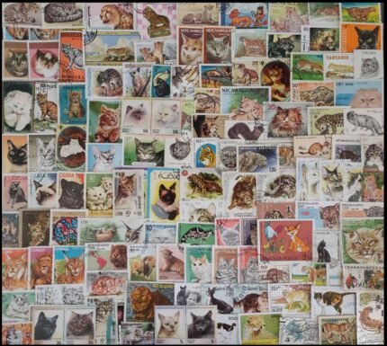 CAT FAMILY, Tiger, Panther, Leopard, worldwide 290 Different, Large