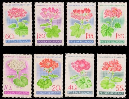 ROMANIA 1968-Garden Geraniums, Flowers, Set of 8, MNH, S.G. 3563-70