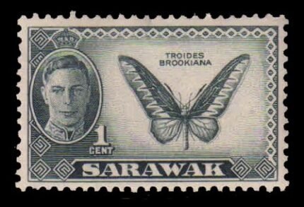SARAWAK 1950 - Butterfly, King George VI, 1 Value, MNH, S.G. 171