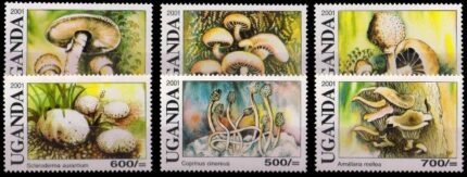 UGANDA 2001-Fungi, MUSHROOM, Set of 6, MNH, S.G. 2357-2362-Cat £ 14-