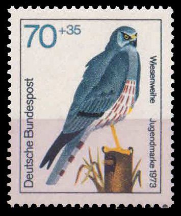 WEST GERMANY 1973 - Montagu Harrier, Birds of Prey, Youth Welfare, 1 Value, MNH, S.G. 1651, Cat £ 6