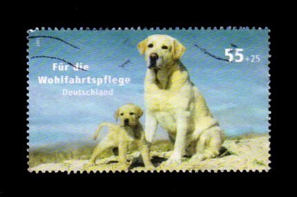 GERMANY 2007 - Dogs, 1 Value Stamp, Used, S.G. 3507