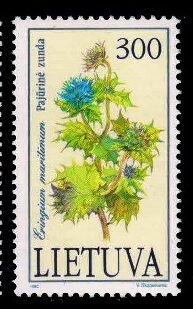 LITHUANIA 1992 - Plants in the Red Book, Sea Urchin, 1 Value Stamp, MNH, S.G. 505