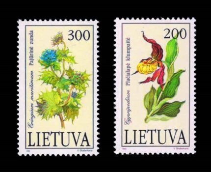 LITHUANIA 1992 – Plants in the Red Book, Orchids and Sea Holly, Set of 2 Stamps, MNH, S.G. 504-505